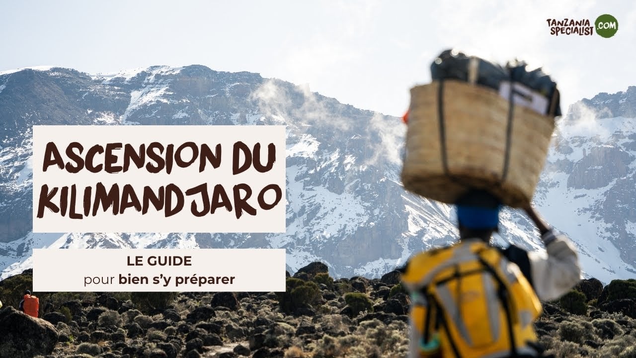 Ascension du Kilimandjaro - Le guide pour bien s'y préparer - Tanzania Specialist