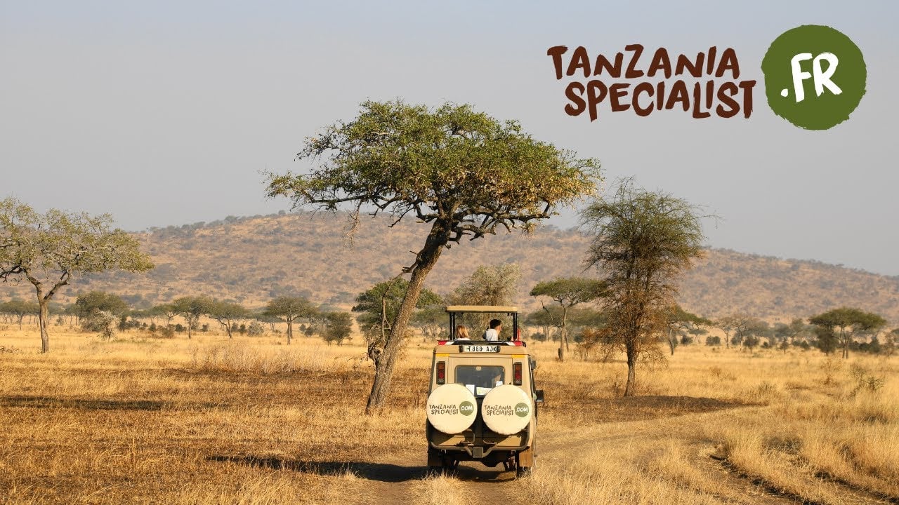 Faire un safari en Tanzanie... un rêve ? Vous avez 30 secondes ? On vous embarque !
