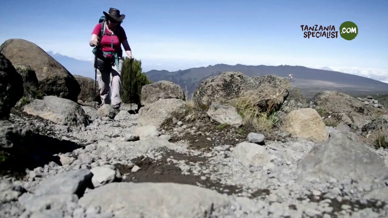 Kilimanjaro beklimmen HD Tanzania Specialist