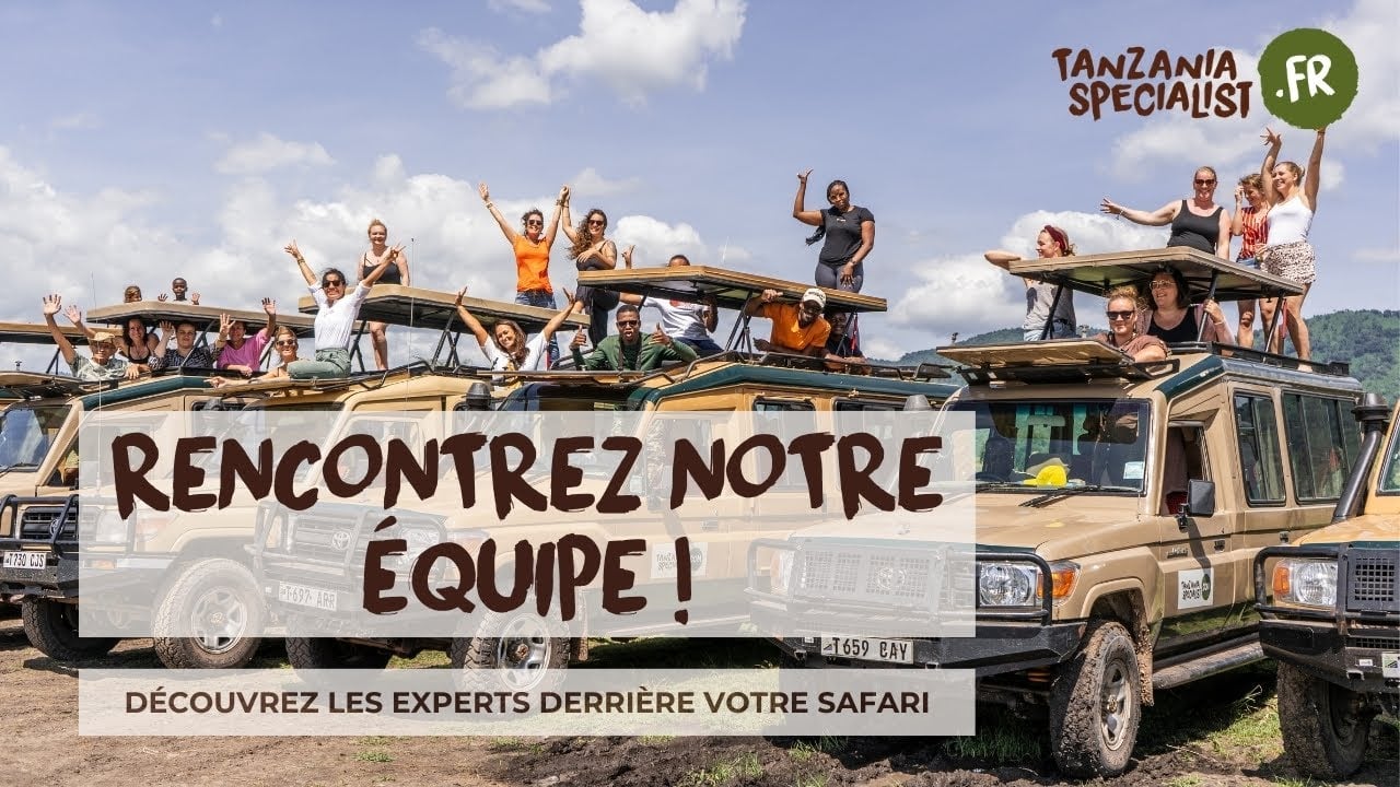 Ascension du Kilimandjaro - Le guide pour bien s'y préparer - Tanzania Specialist