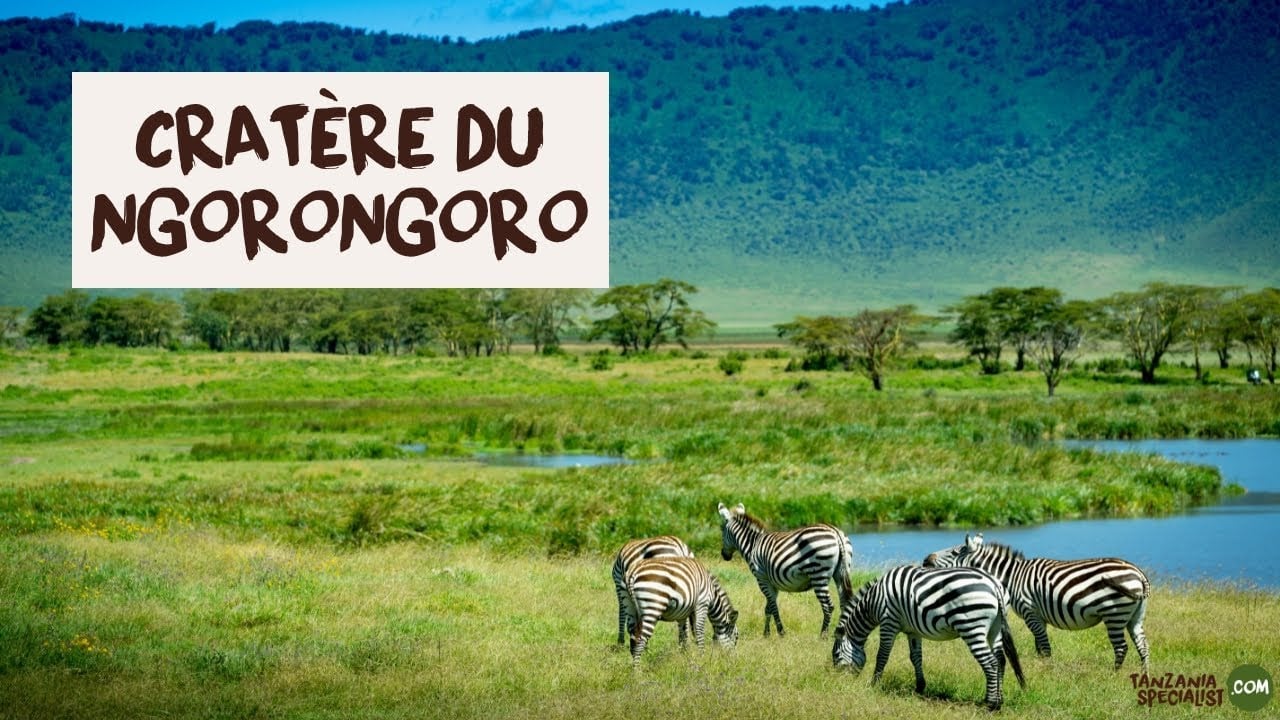 Explorez le cratère du Ngorongoro avec Tanzania Specialist