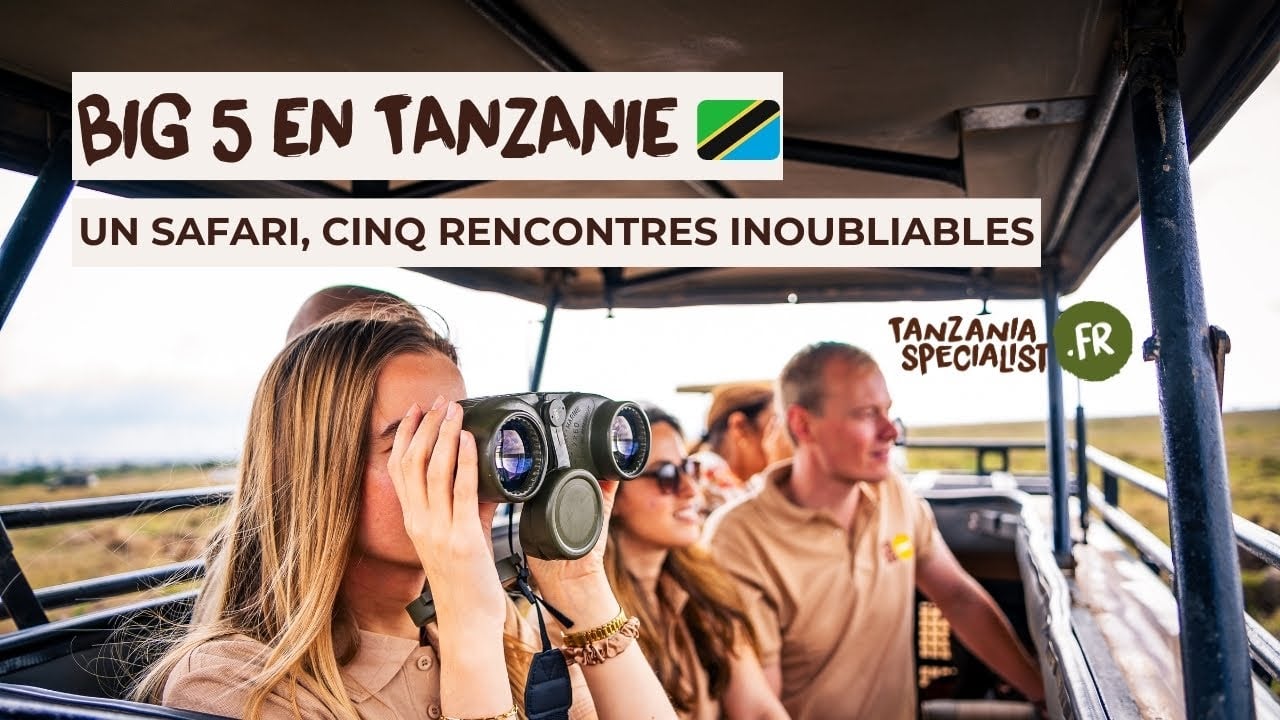 Big 5 en Tanzanie : safari avec des experts locaux