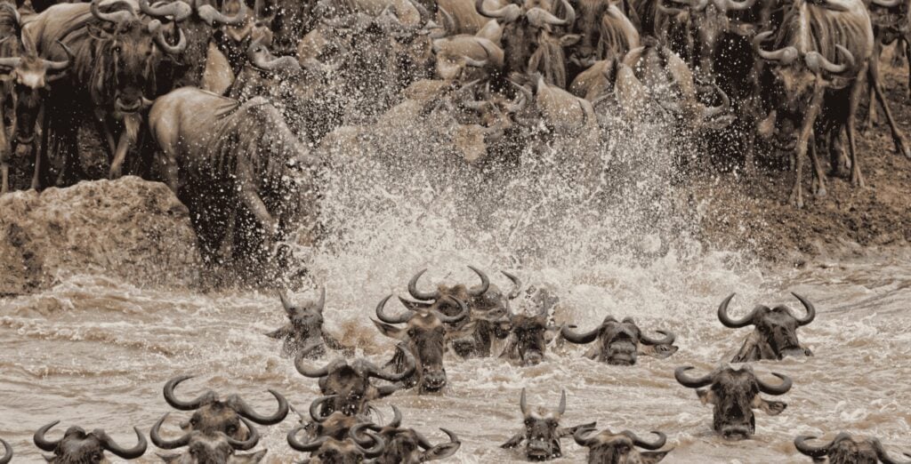 Exceptional Travel Landing Page (4)