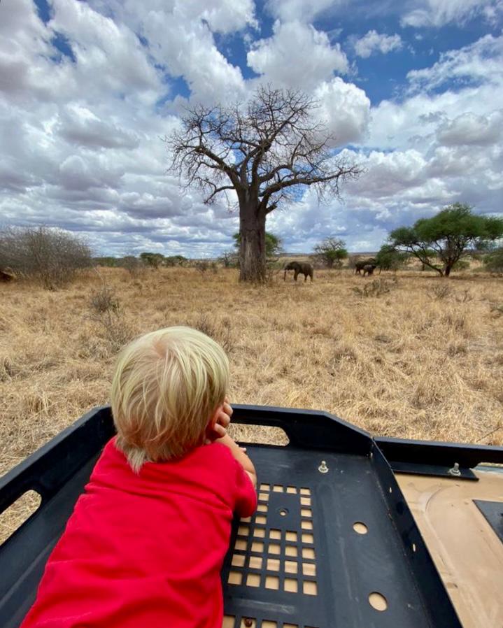 enfant regardant la savane en Tanzanie