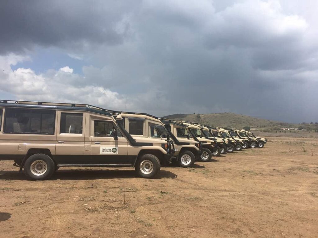 jeep safari Tanzania Specialist