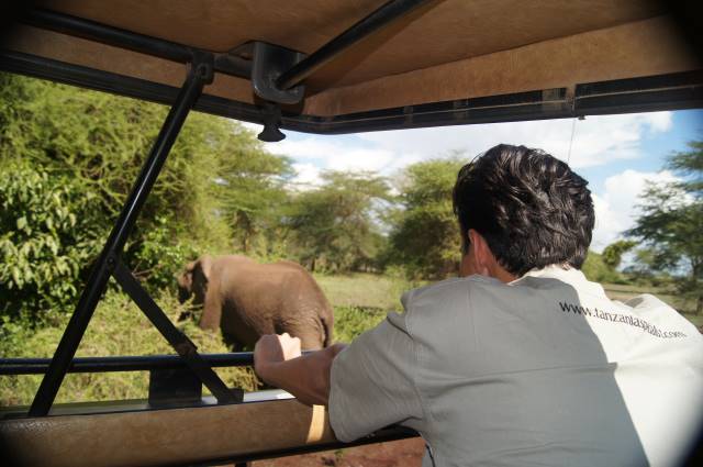 Parc national ruaha safari