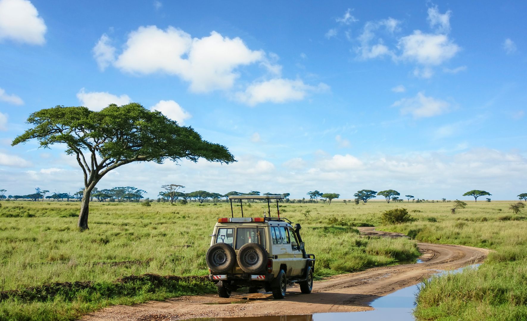 Safari au Kenya ou en Tanzanie en 4 x 4 ?