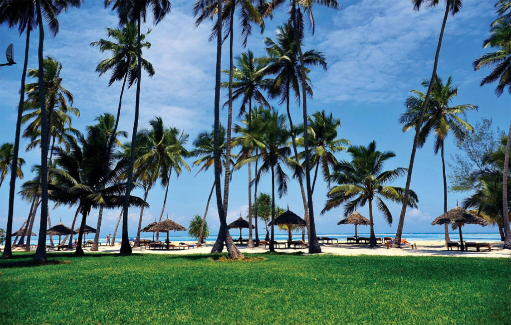 Mooi uitzicht op de zee tussen de palmbomen bij dream of zanzibar