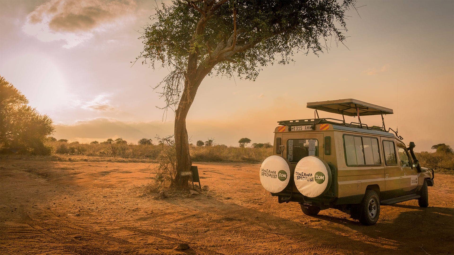 Safari à pied au parc national de Nyerere