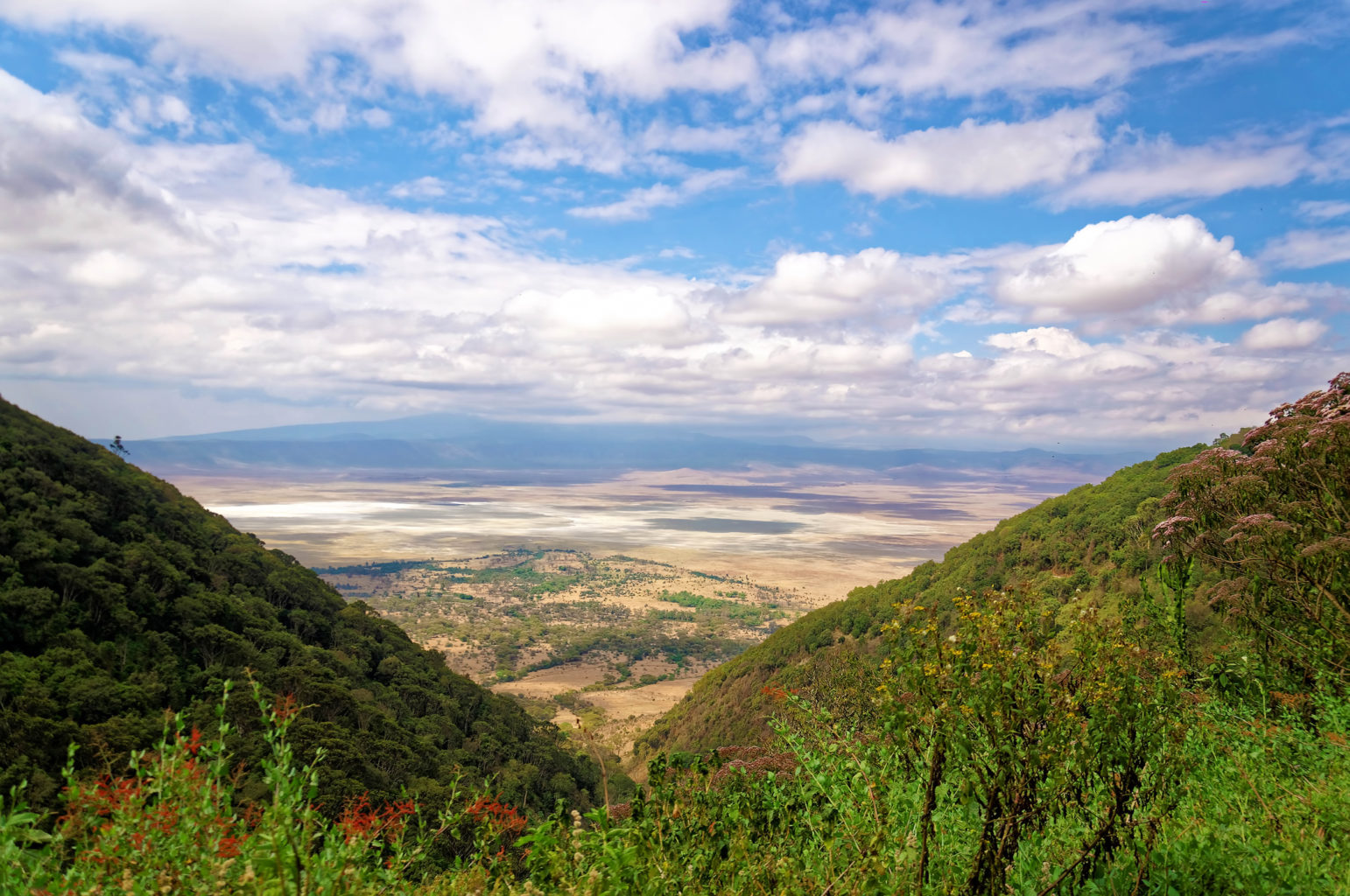 Aire de conservation du Ngorongoro (cratère inclus)