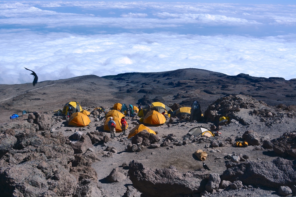 Voie Umbwe 6 jours - jour 4 : Karanga Camp (3 950 m) - Barafu Camp (4 ...