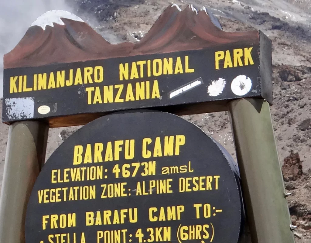 Voie Lemosho 8 jours (6/8) : Karanga Camp (4 035 m) - Barafu Camp (4 ...