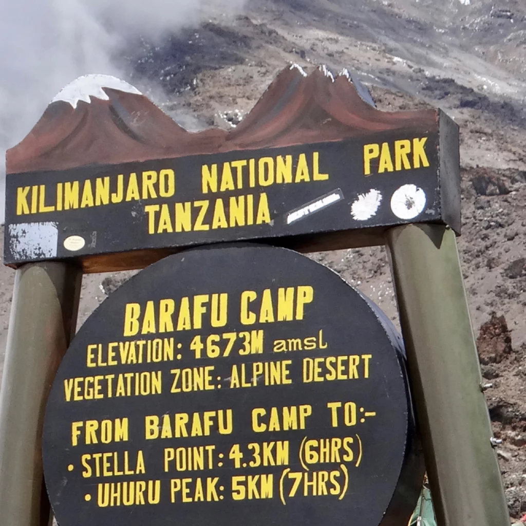 Voie Umbwe 6 jours - jour 4 : Karanga Camp (3 950 m) - Barafu Camp (4 640 m)