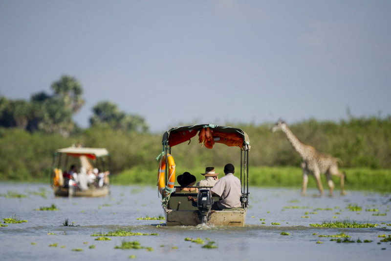 Safari en bateau au parc national de Nyerere - journée entière