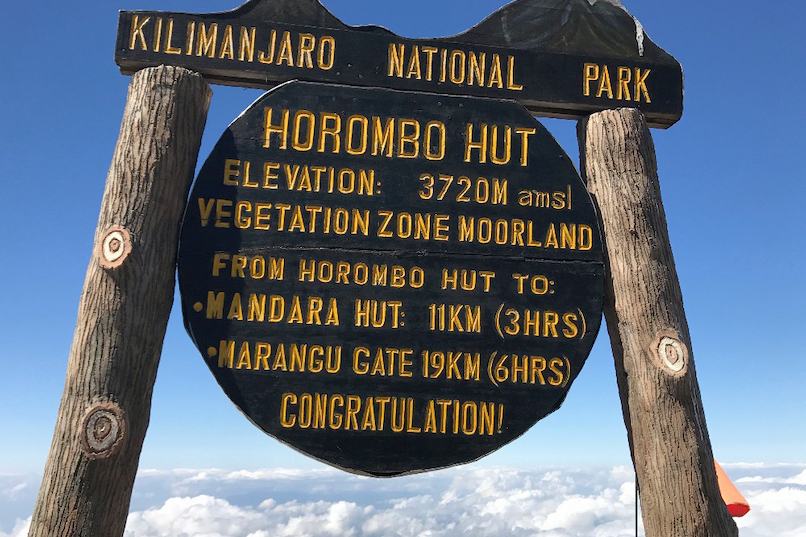 Voie Marangu 6 jours - jour 2 : Mandara Huts (2 700 m) - Horombo Huts (3 720 m)