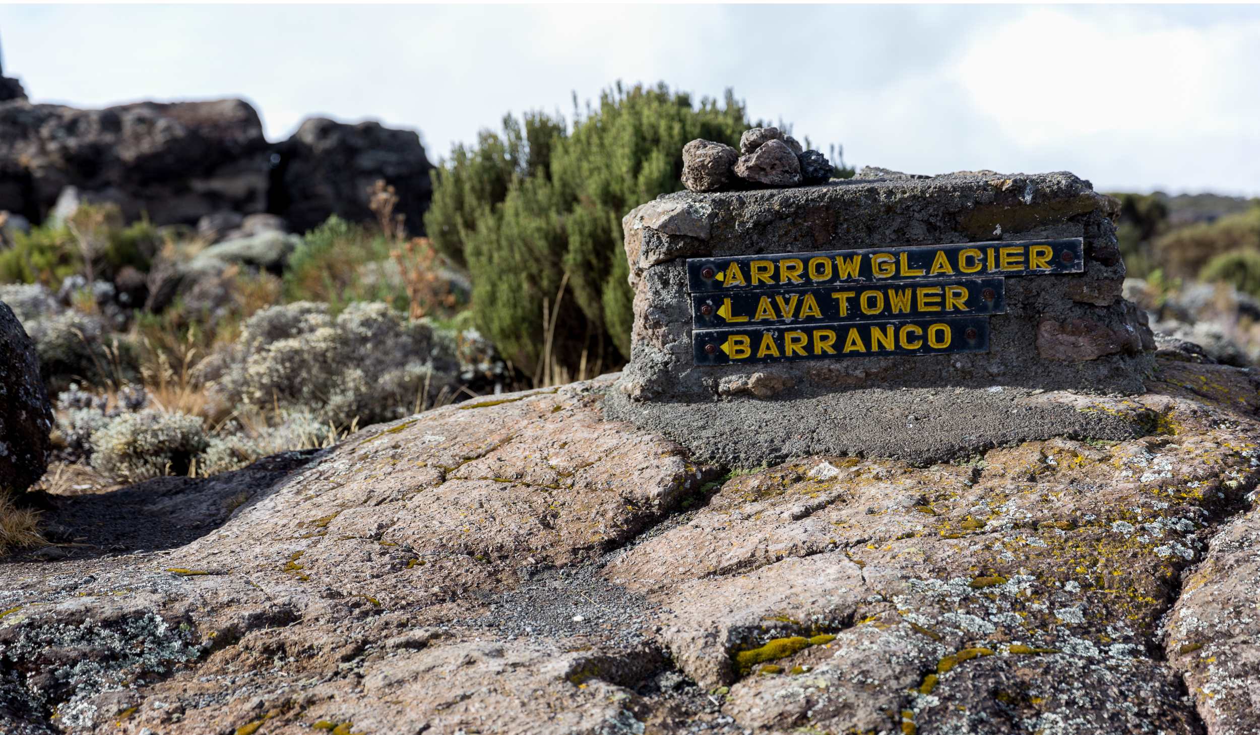 Voie Lemosho-Shira 6 jours - jour 2 : Shira 2 Camp (3 900 m) - Lava Tower (4 630 m) - Barranco Camp (3 960 m)