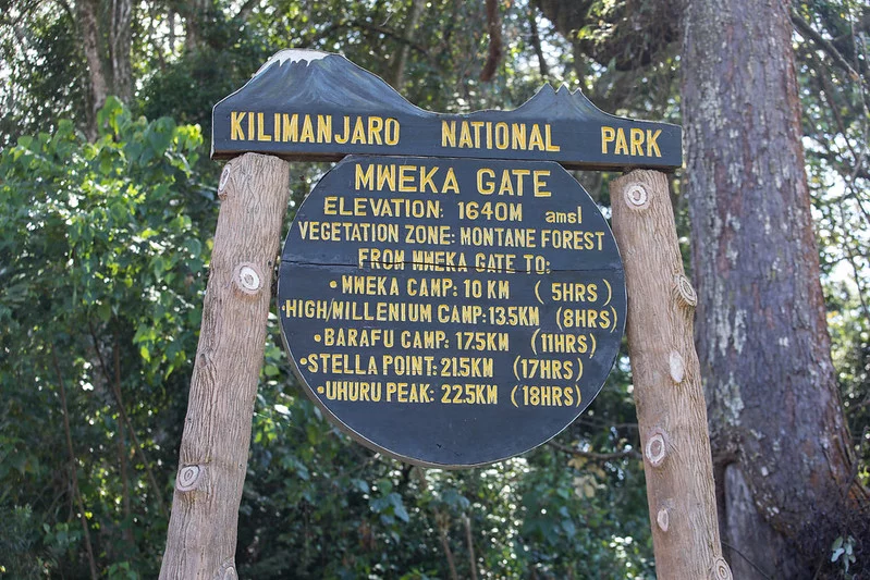 Voie Umbwe 6 jours - jour 6 : Millennium Camp (3 820 m) - Mweka Gate (1 650 m) - Hotel