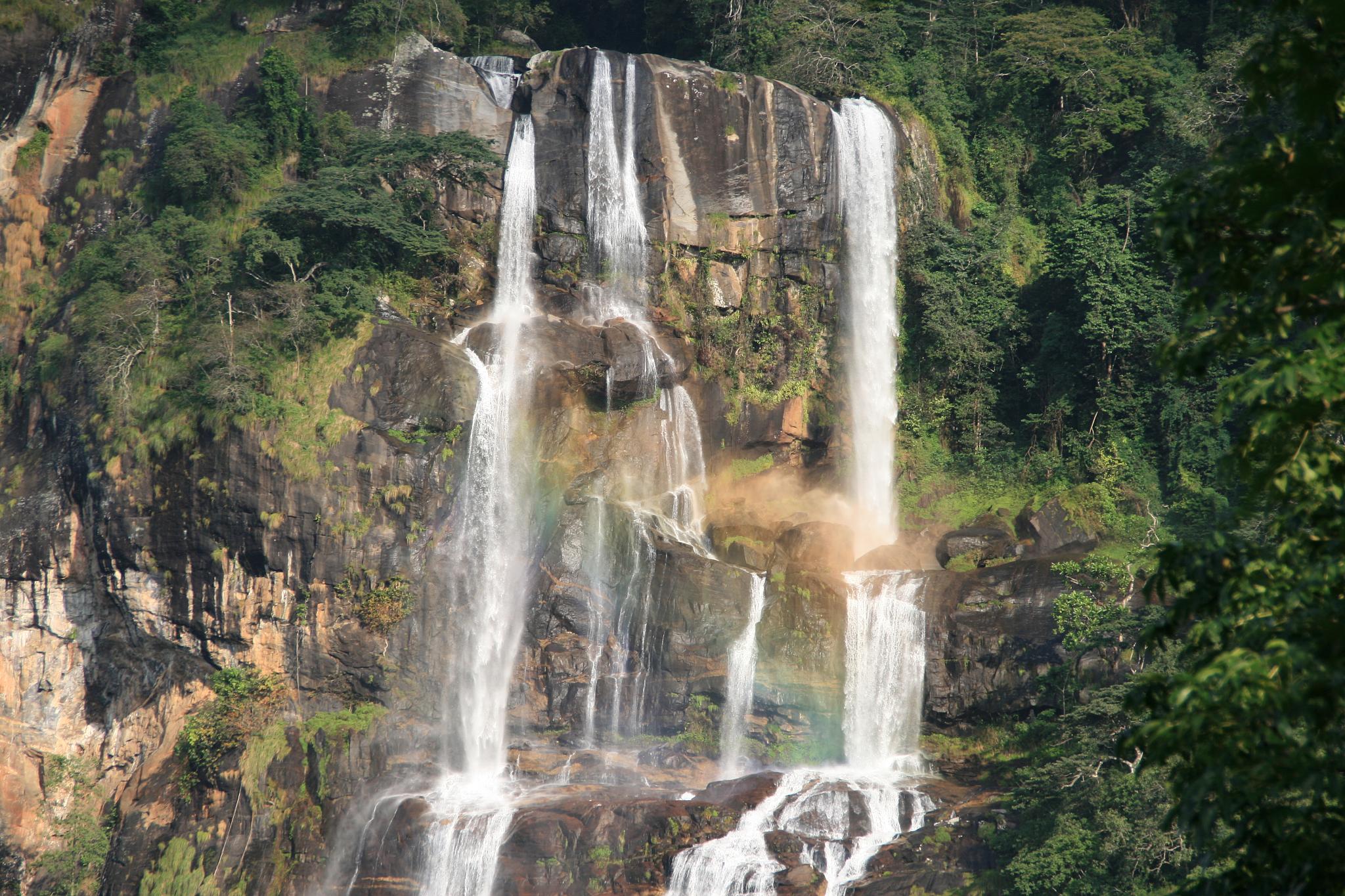 Randonnée à Udzungwa vers la cascade de Sanje