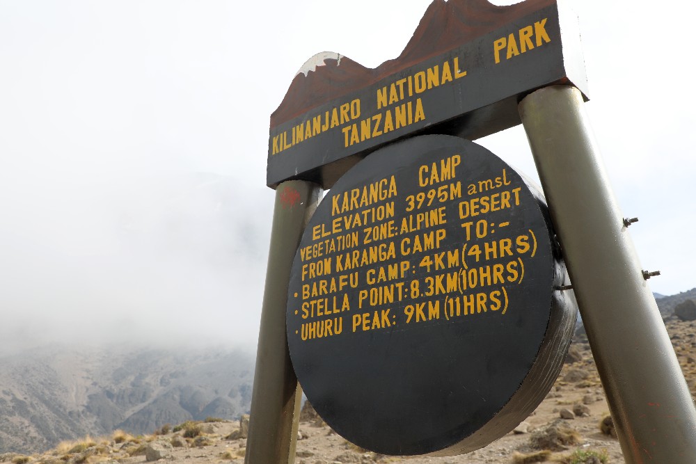 Voie Lemosho-Shira 6 jours - jour 3 : Barranco Camp (3 960 m) - Karanga Camp (4 035 m)