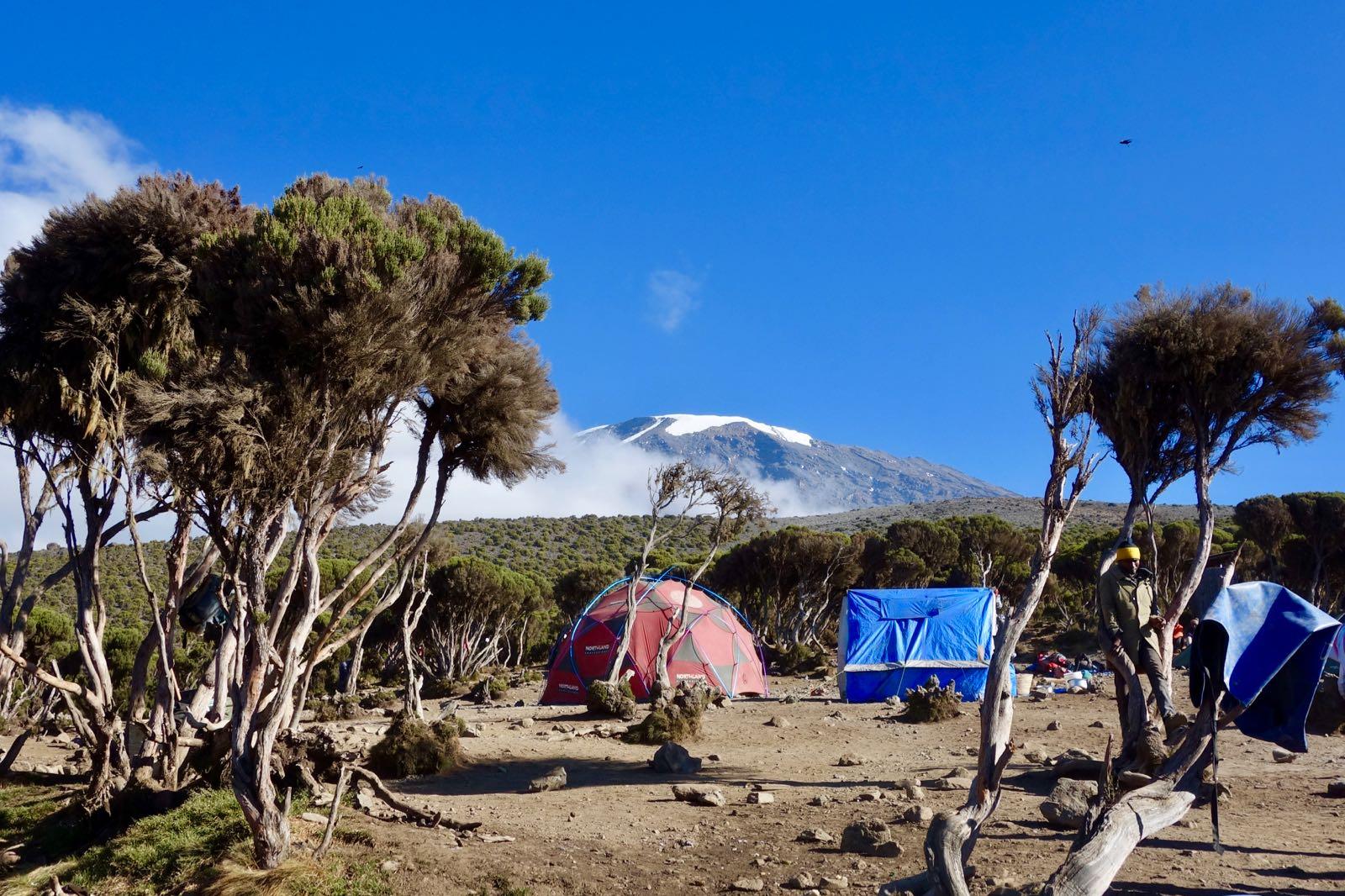 Voie Machame 6 jours (5/6) : Barafu Camp (4 640 m) - Uhuru Peak (5 895 m) - Millennium Camp (3 820 m)