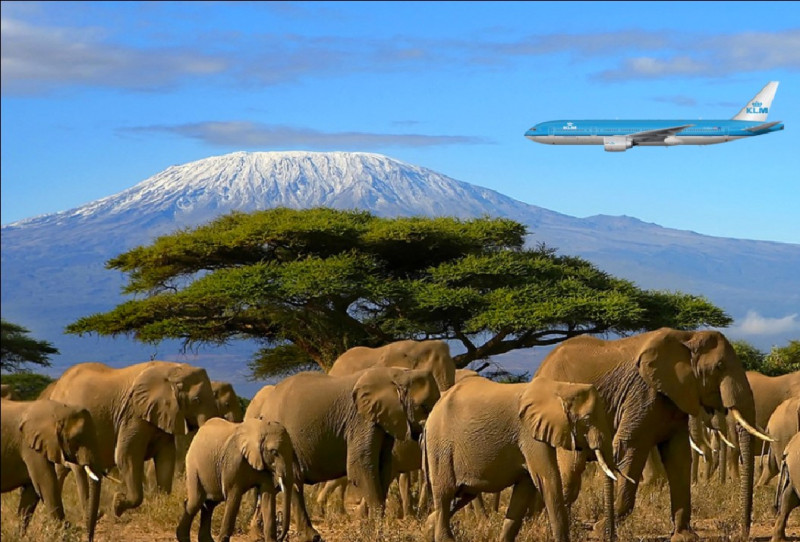 Arrivée à l'aéroport du Kilimandjaro (JRO) pour votre ascension