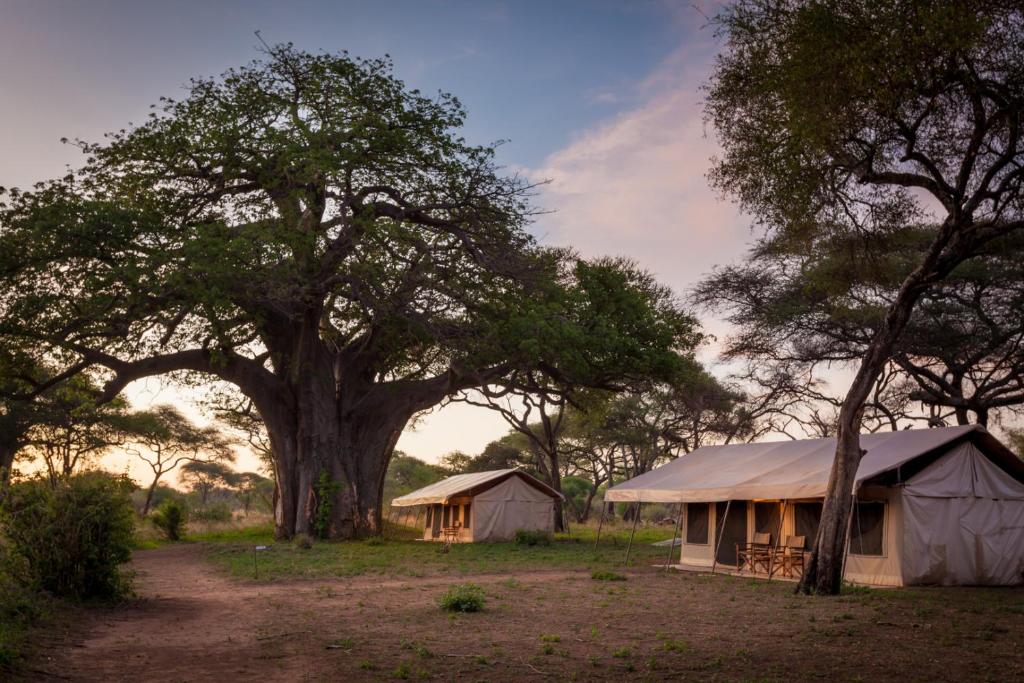 Tarangire Baobab Tented Camp by Mawe Lodges | Tanzania Specialist