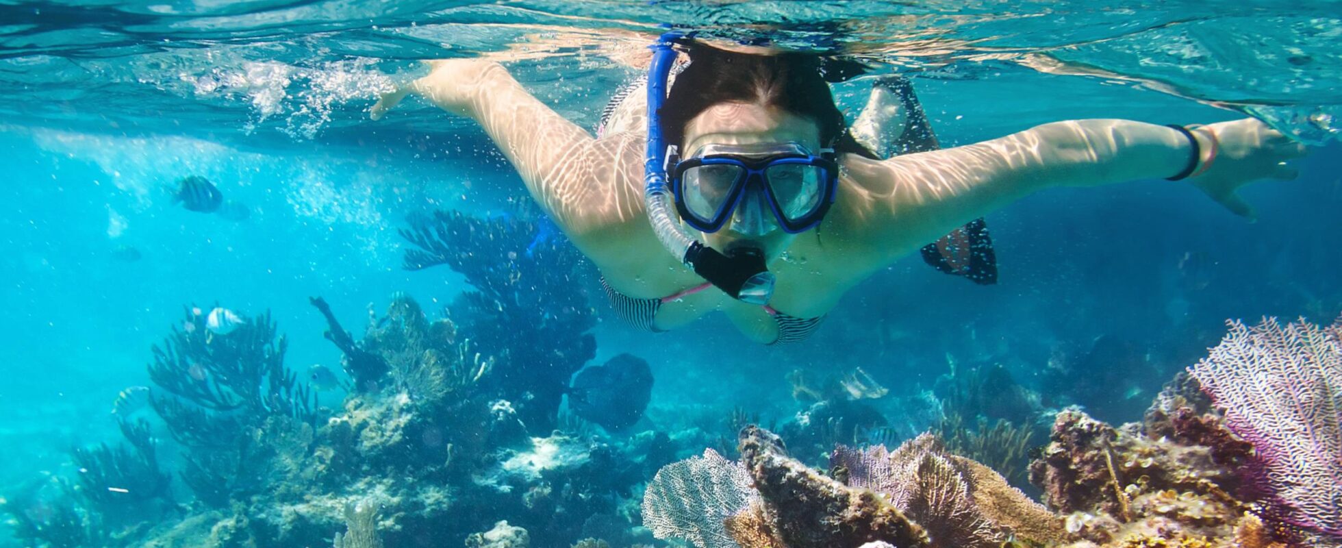 Snorkeling