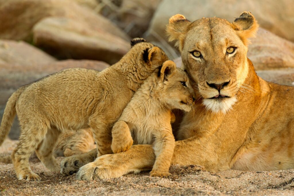 voyage-famille-tanzanie-2