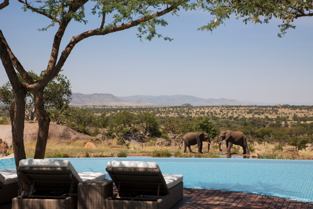 safari-tanzanie-diamond-luxury