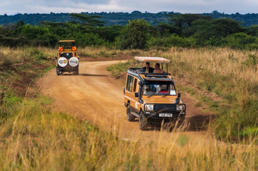 Africa Safari jeep (2)
