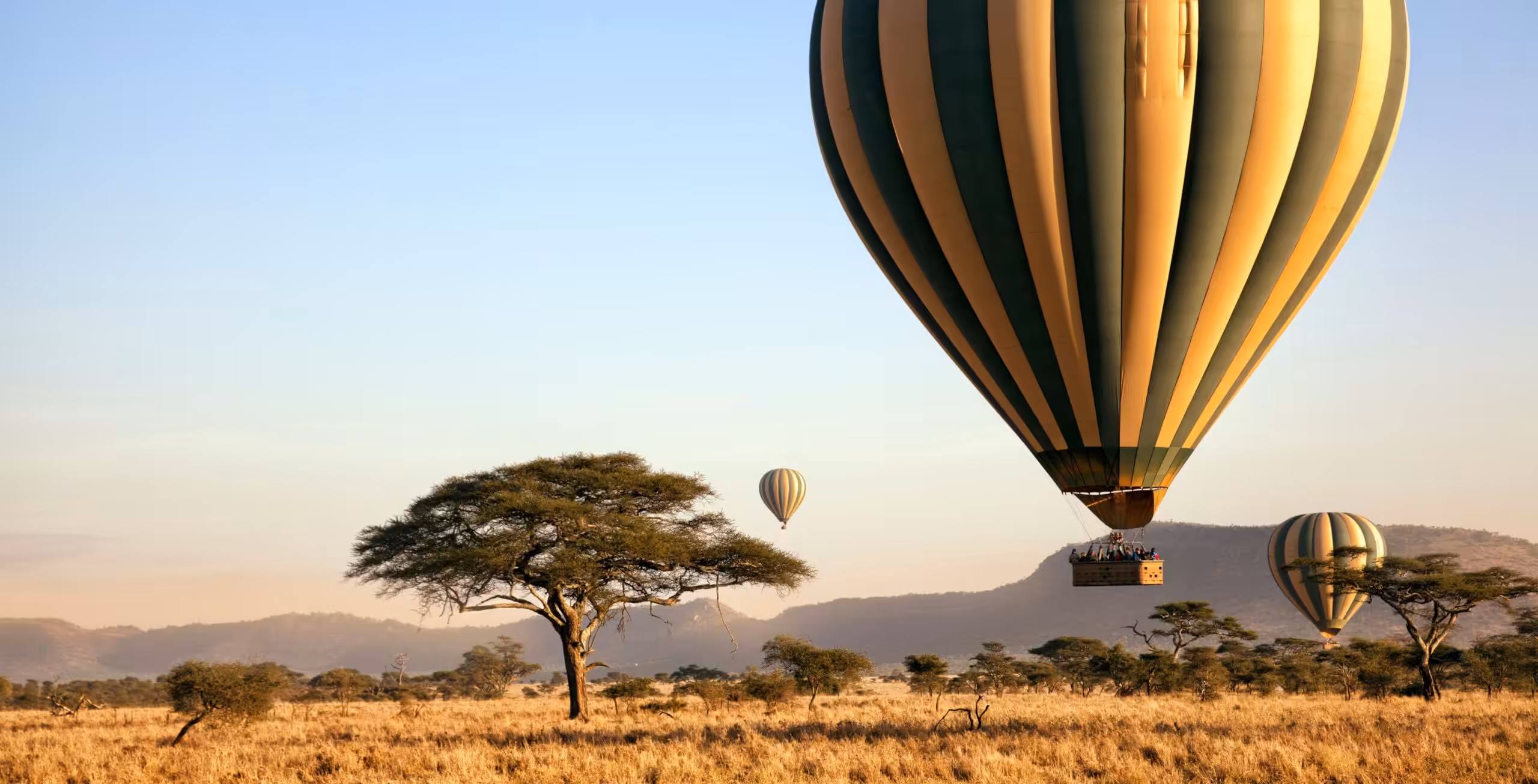 Parc national du Serengeti (centre ouest/est)