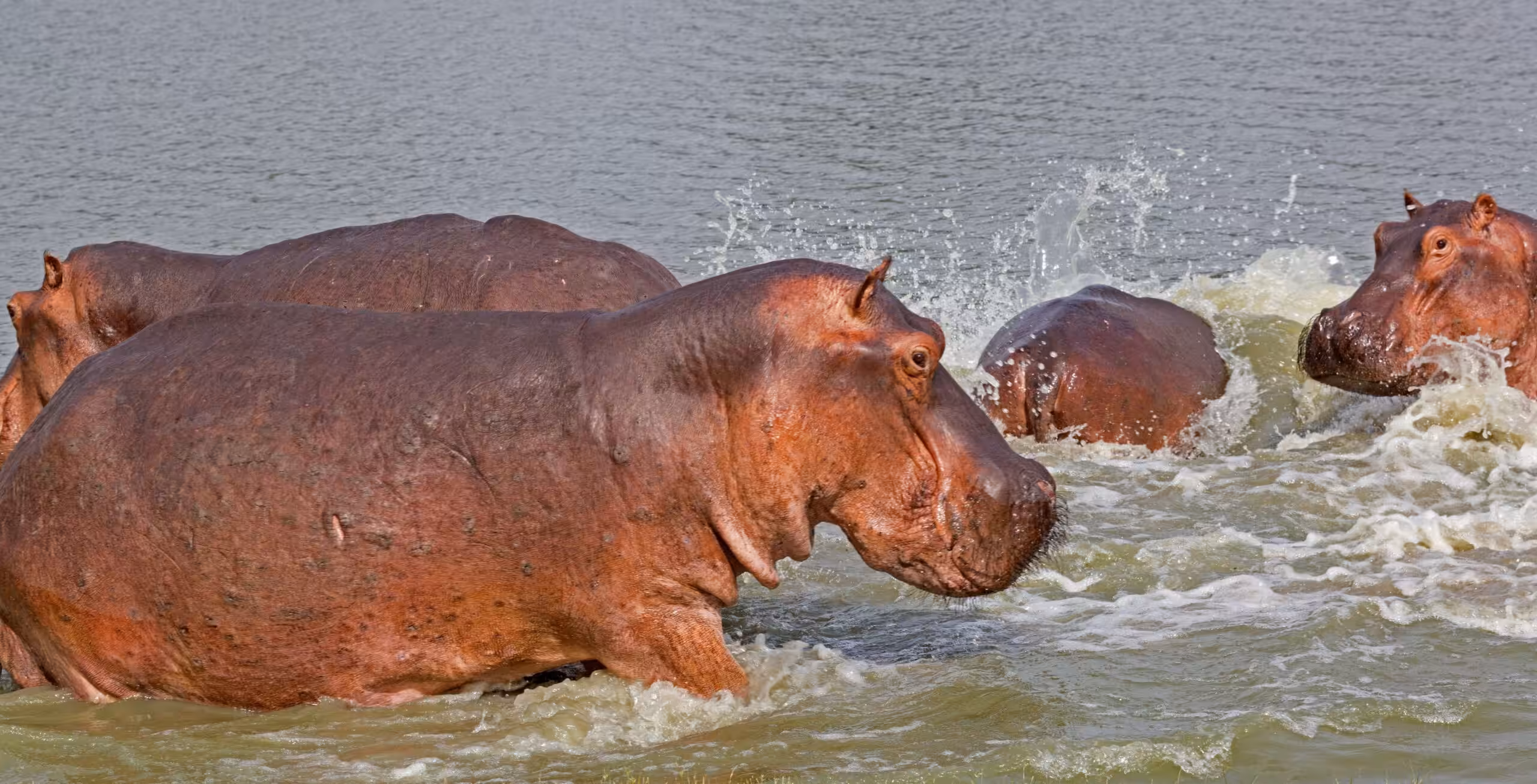 Parc national de Nyerere