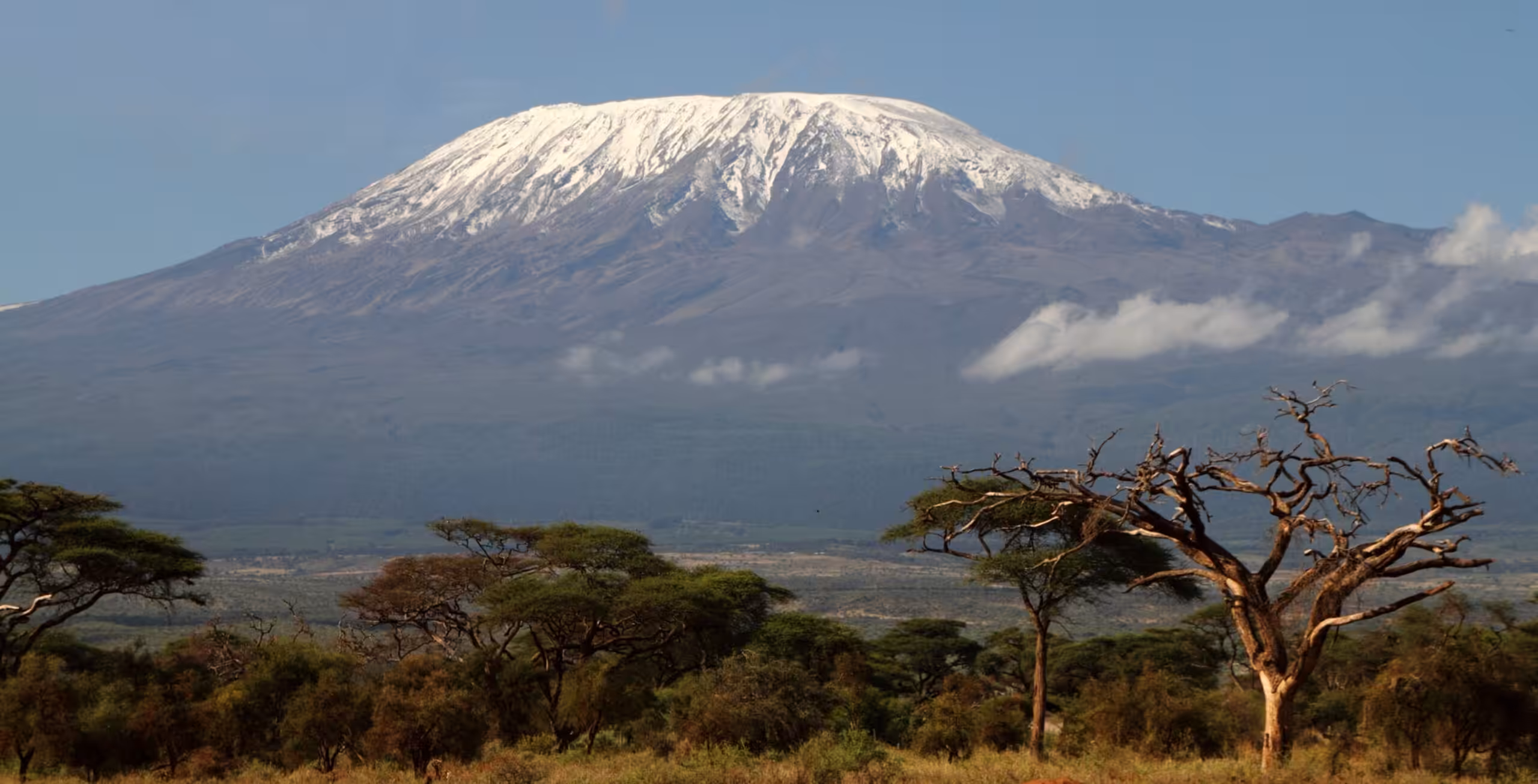 Arrivée à l'aéroport international du Kilimandjaro (JRO) pour votre ascension