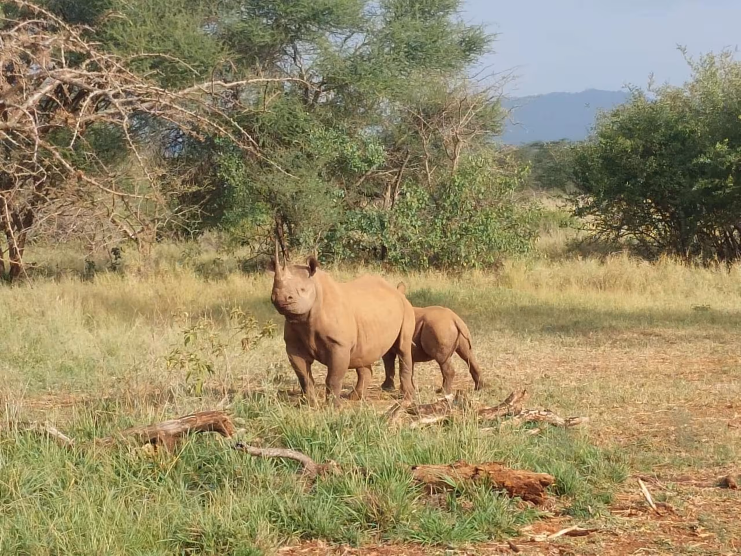 Parc national de Mkomazi