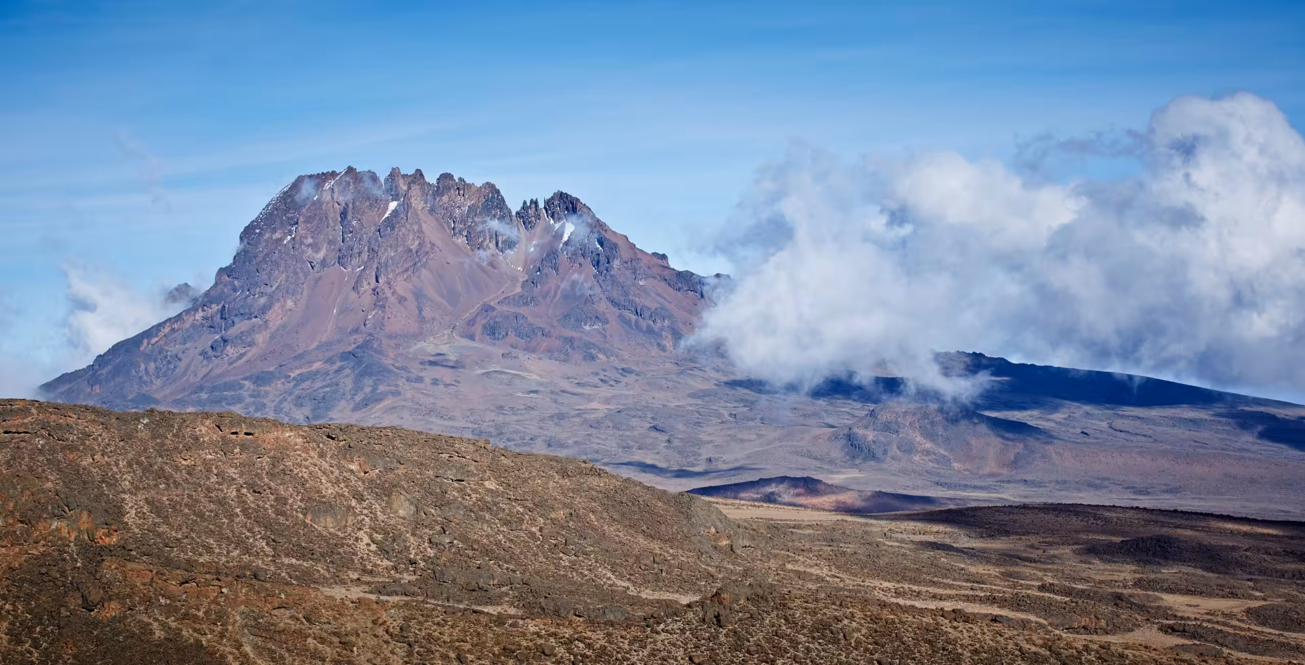Voie Machame (4/6) | Barranco Camp (3 950 m) - Barafu Camp (4 645 m)