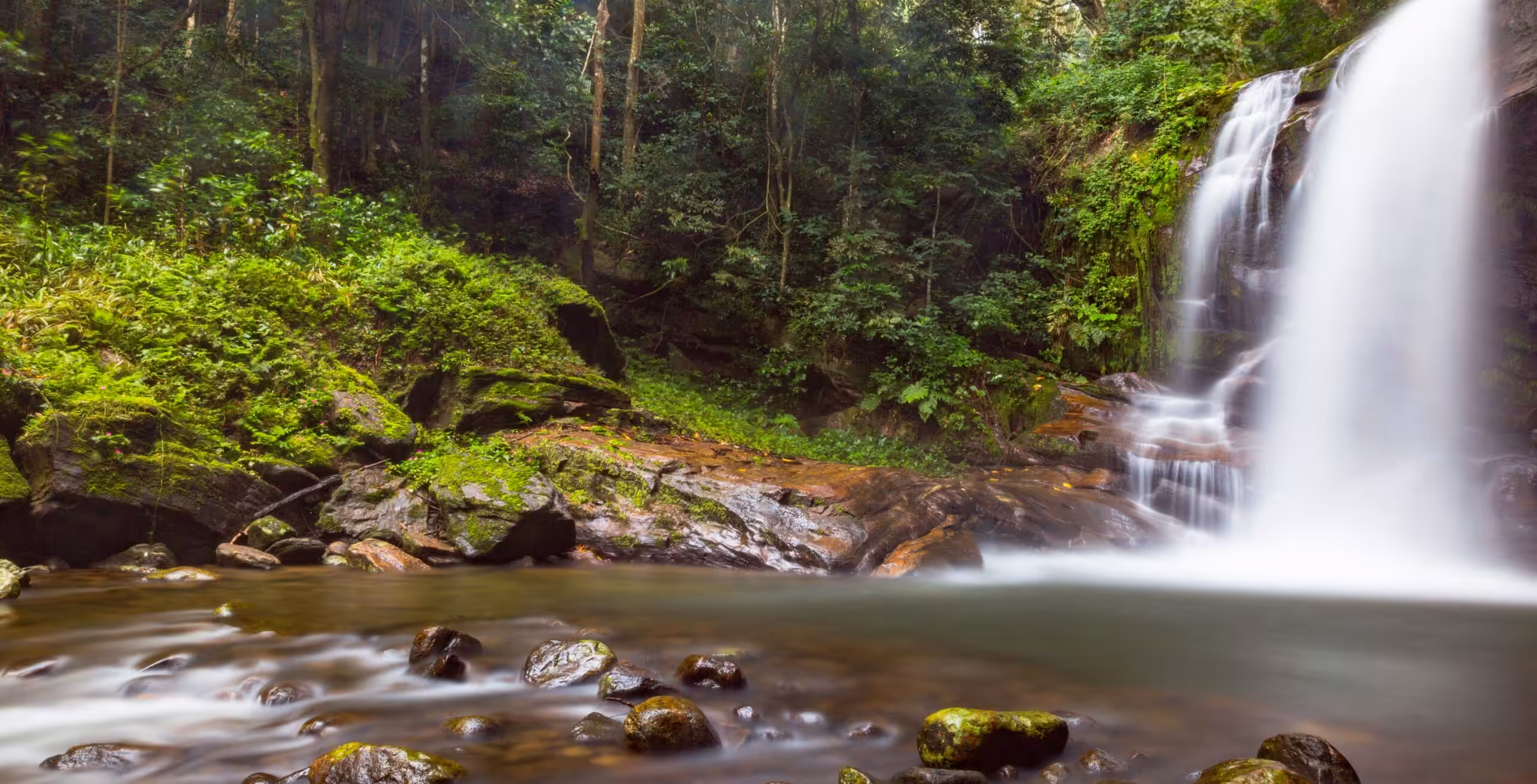 Parc national des monts Udzungwa