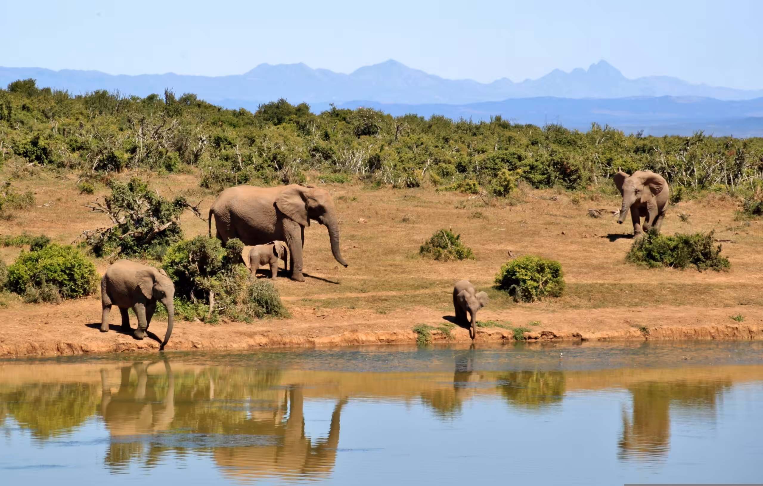 Parc national de Tarangire en avion - Prestige