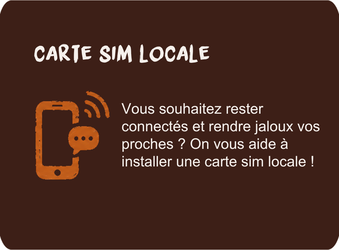 Carte SIM locale