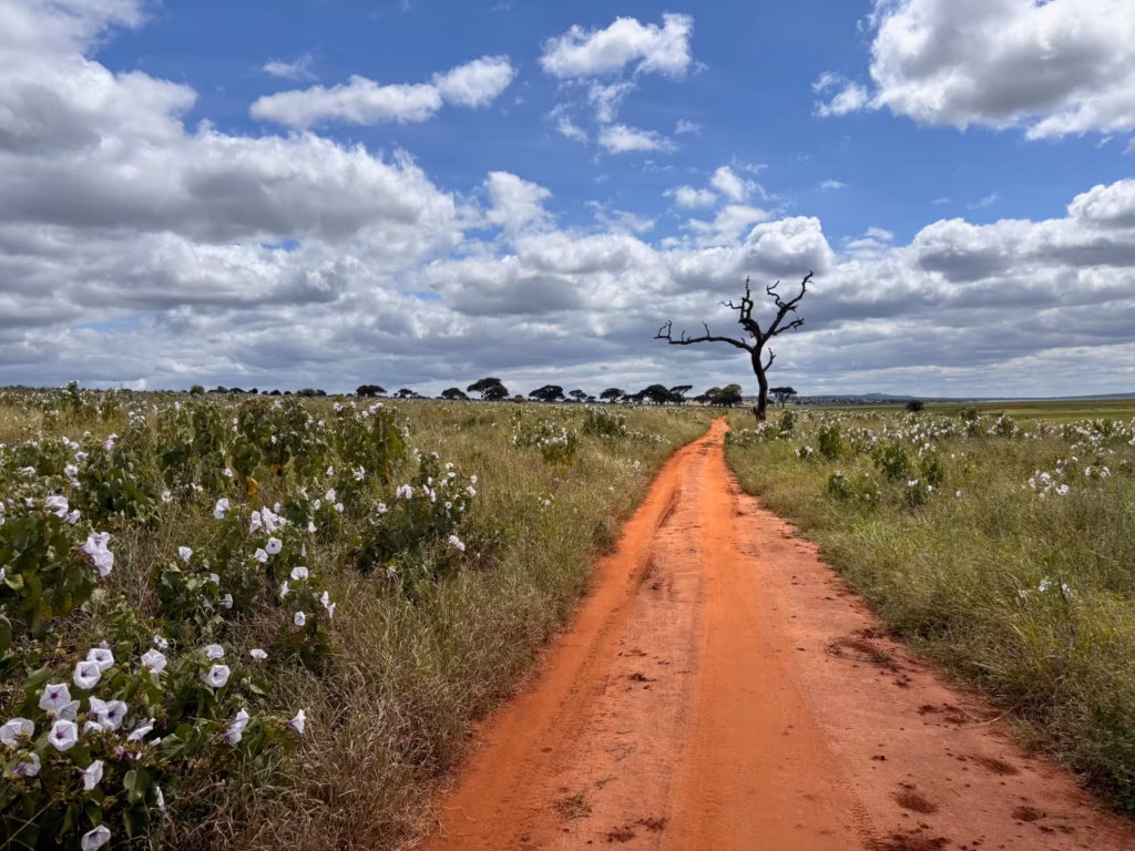 route Tarangire