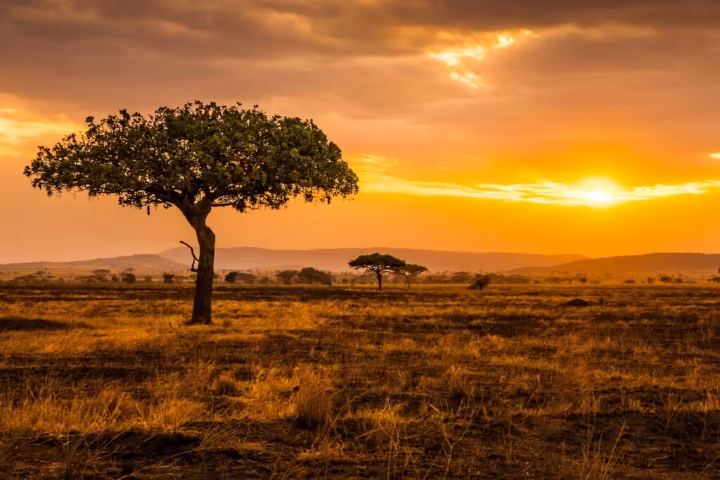 Coucher-de-soleil-Serengeti