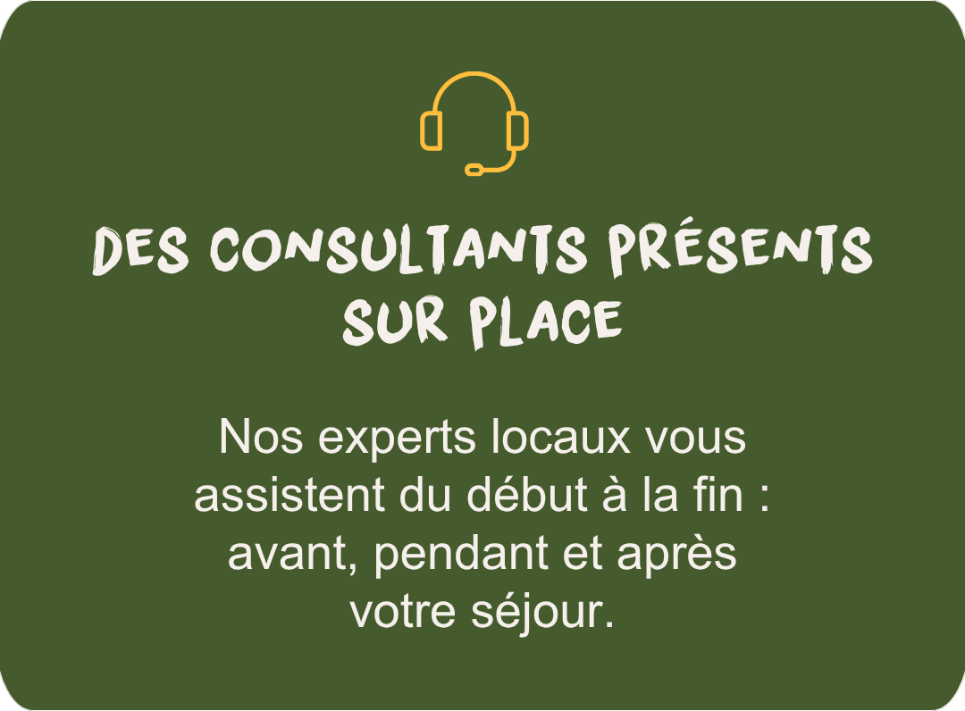 Des consultants sur place